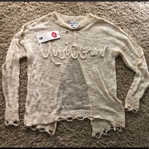 WILDFOX “Unicorn” sweater
